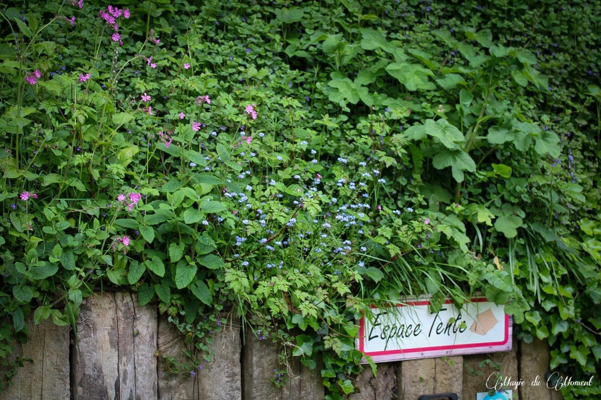 Camping La Sabliere Saint-Jans-Cappel Kültér fotó