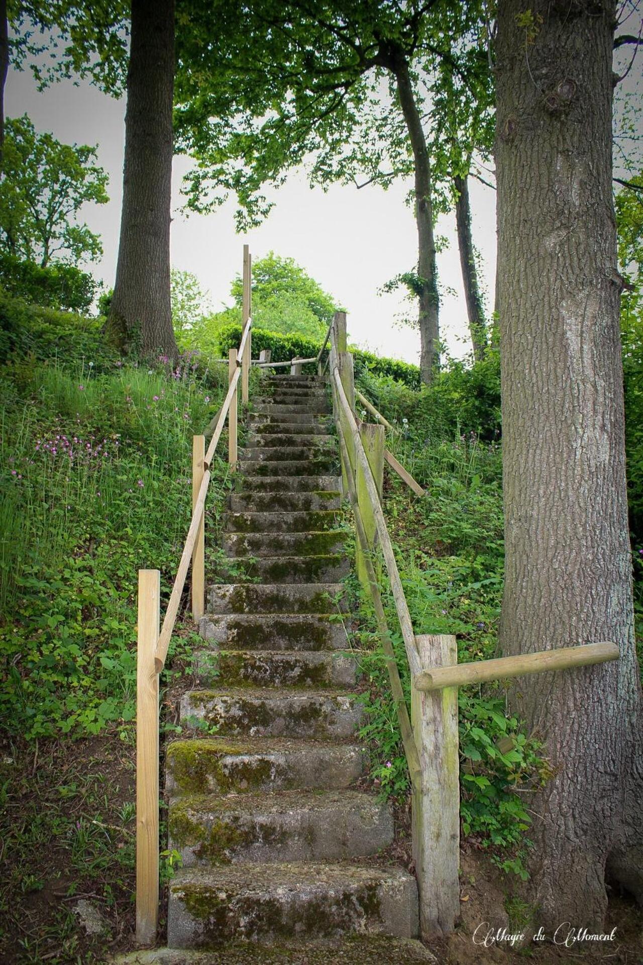 Camping La Sabliere Saint-Jans-Cappel Kültér fotó