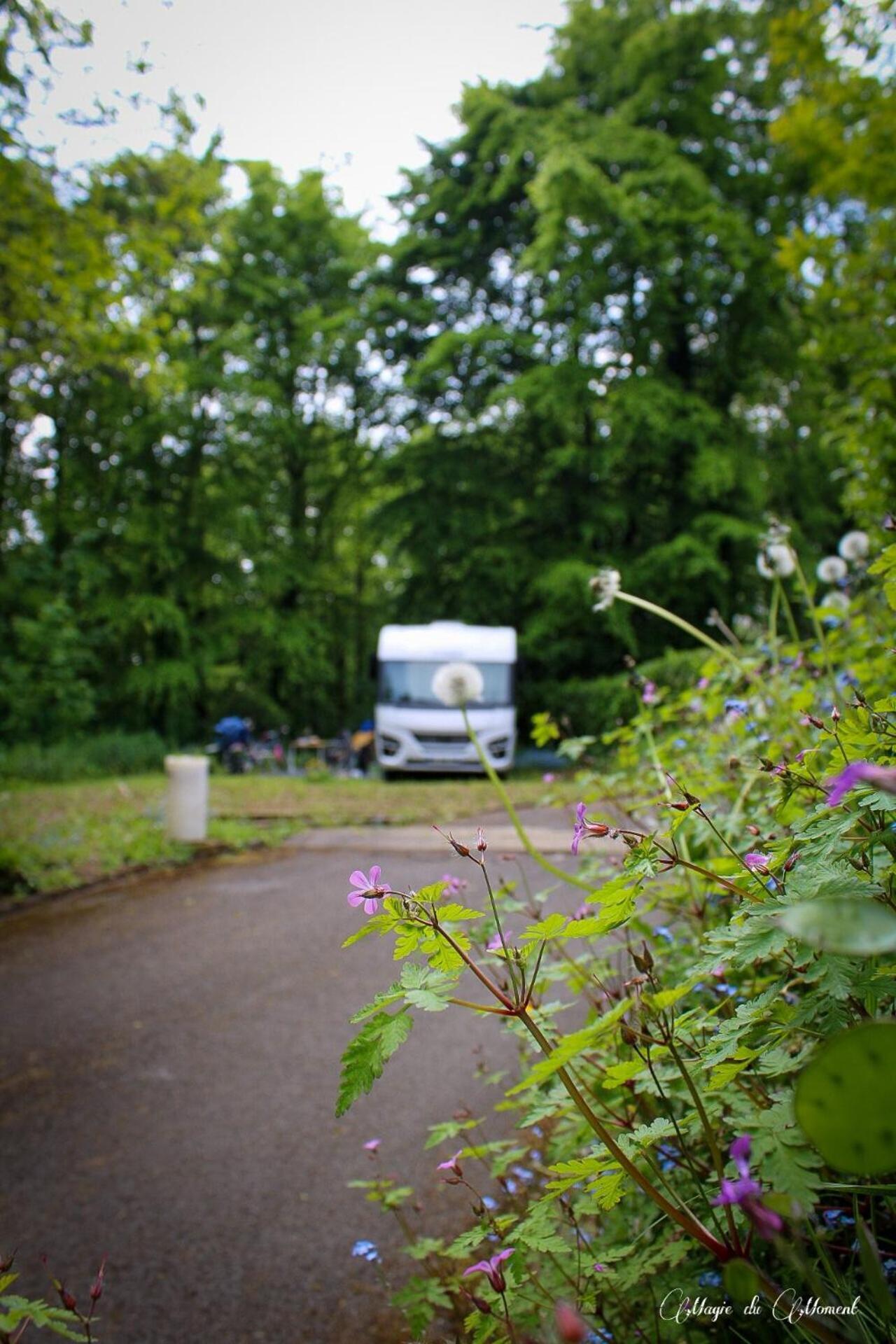 Camping La Sabliere Saint-Jans-Cappel Kültér fotó